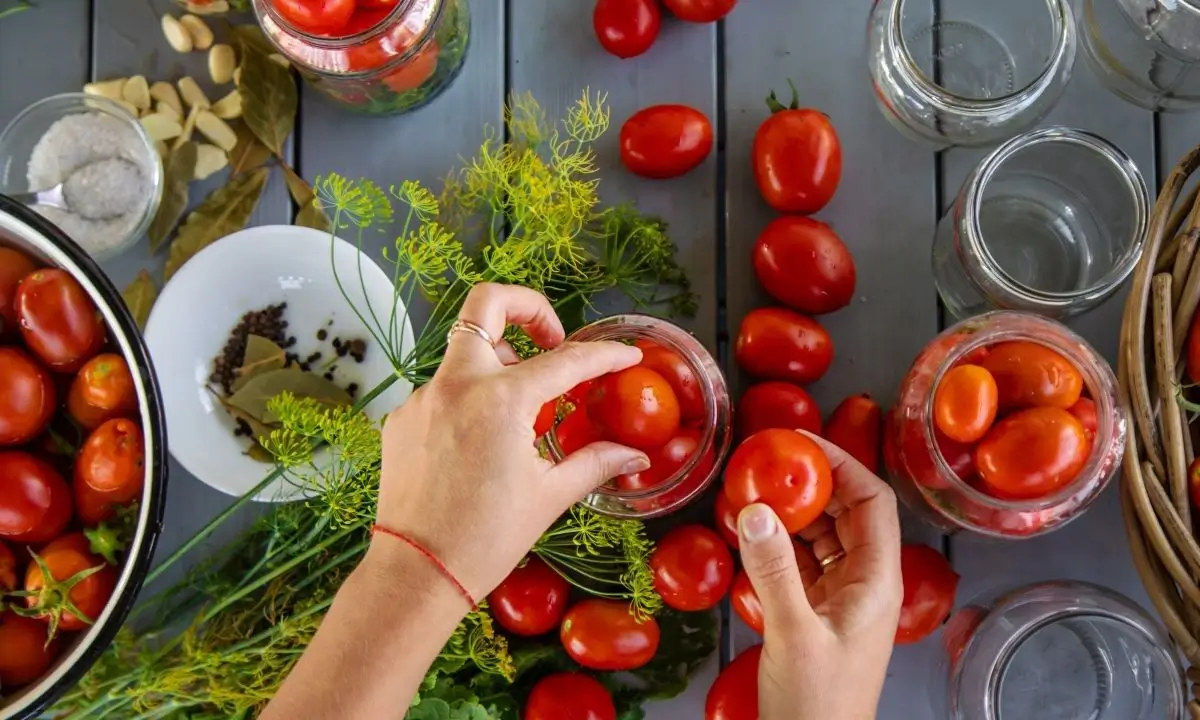 Choosing the Best Tomatoes